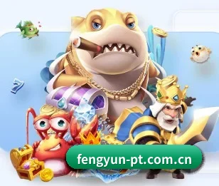 风云体育的故事